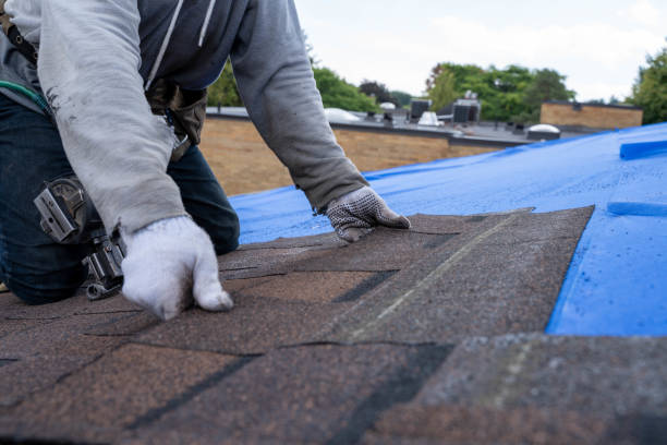Best Metal Roofing Contractor  in Jacobus, PA